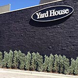 stain, lacquer, and dye album cover showing the yard house at park meadows mall